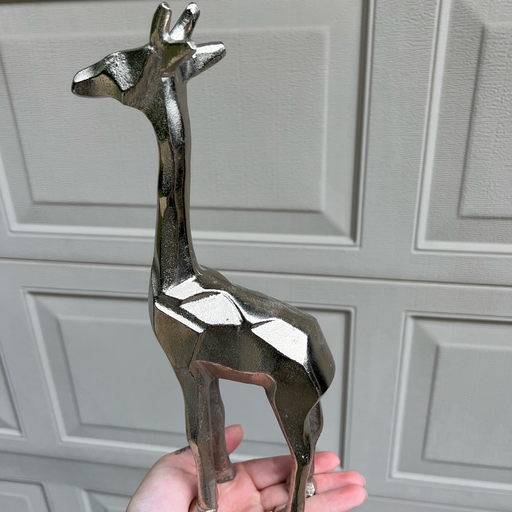 Small giraffe!